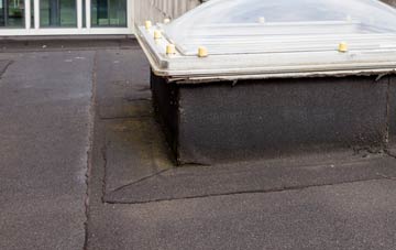 disadvantages of Cuckoos Knob flat roofs