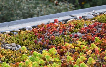 the cost of Cuckoos Knob green roof installation
