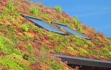 Cuckoos Knob living roof systems
