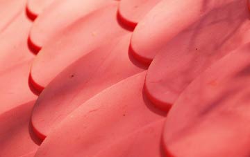 Cuckoos Knob plastic roof costs