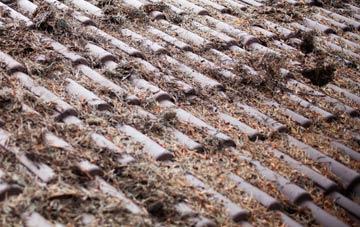 Cuckoos Knob roof cleaning companies