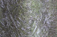 Cuckoos Knob fibreglass roof work